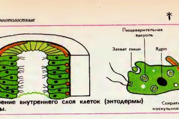 Что за кракен маркет