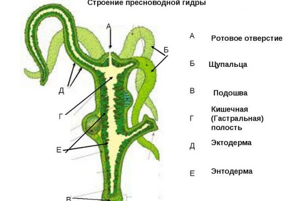 Kraken даркнет рынок